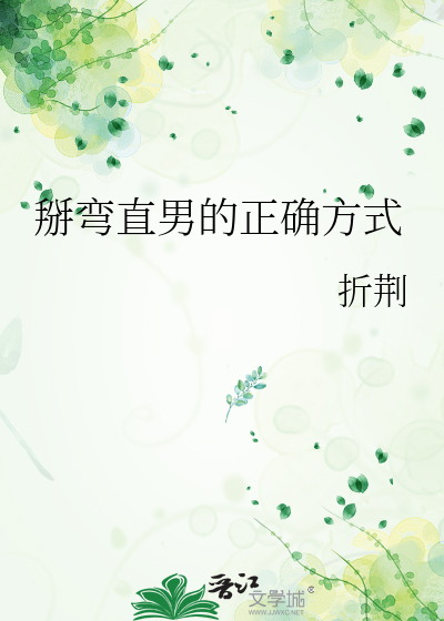 Bìa truyện Bài Loan Trực Nam Đích Chính Xác Phương Thức (掰弯直男的正确方式)