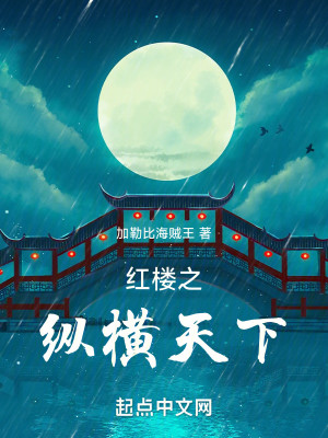 Bìa truyện Hồng Lâu Chi Tung Hoành Thiên Hạ (红楼之纵横天下)