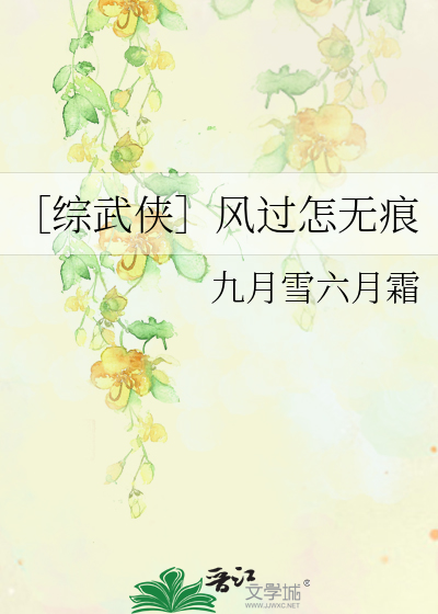 Bìa truyện Tống Vũ Hiệp Phong Quá Chẩm Vô Ngân (［综武侠］风过怎无痕)