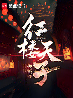 Bìa truyện Hồng Lâu Thiên Tử (红楼天子)