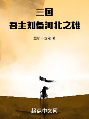 Bìa truyện Tam Quốc Ngô Chủ Lưu Bị Hà Bắc Chi Hùng (三国：吾主刘备，河北之雄)