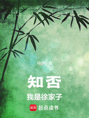 Bìa truyện Tri Phủ Ngã Thị Từ Gia Tử (知否：我是徐家子)