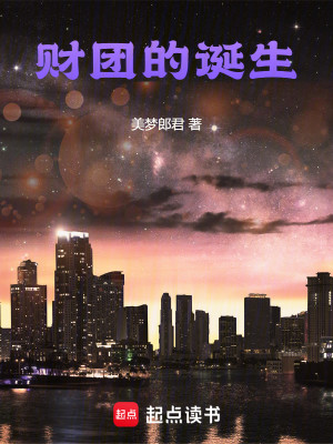 Bìa truyện Tài Đoàn Đích Đản Sinh (财团的诞生)
