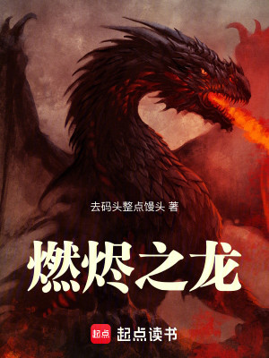 Bìa truyện Nhiên Tẫn Chi Long (燃烬之龙)