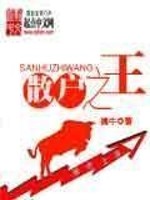 Bìa truyện Tán Hộ Chi Vương (散户之王)