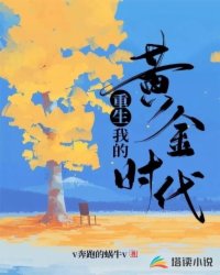 Bìa truyện Trọng Sinh Ngã Đích Hoàng Kim Thời Đại (重生我的黄金时代)