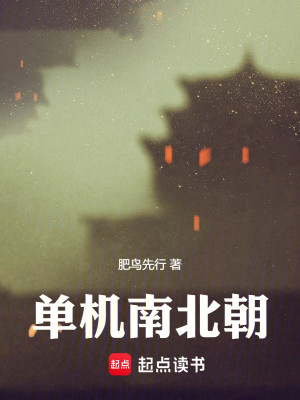 Bìa truyện Đan Cơ Nam Bắc Triêu (单机南北朝)