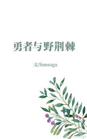 Bìa truyện Dũng Giả Dữ Dã Kinh Cức (勇者与野荆棘)