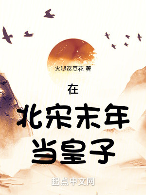 Bìa truyện Tại Bắc Tống Mạt Niên Đương Hoàng Tử (在北宋末年当皇子)
