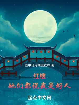 Bìa truyện Hồng Lâu Tha Môn Đô Thuyết Ngã Thị Hảo Nhân (红楼：她们都说我是好人)