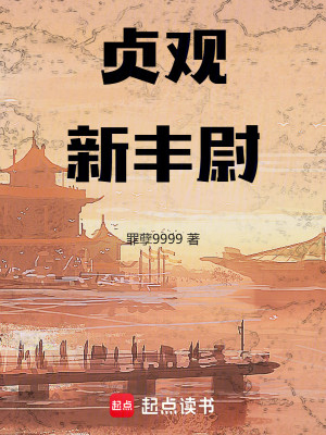 Bìa truyện Trinh Quan Tân Phong Úy (贞观新丰尉)