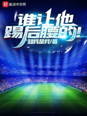 Bìa truyện Thùy Nhượng Tha Thích Hậu Yêu Đích (谁让他踢后腰的！)