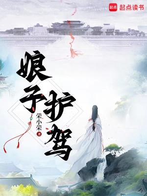 Bìa truyện Đại Hạ Minh Kính (大夏明镜)
