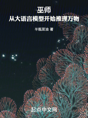 Bìa truyện Vu Sư Tòng Đại Ngữ Ngôn Mô Hình Khai Thủy Thôi Lí Vạn Vật (巫师，从大语言模型开始推理万物)