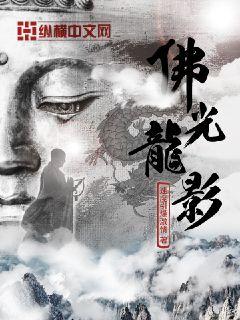 Bìa truyện Phật Quang Long Ảnh (佛光龙影)