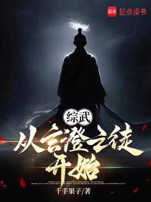 Bìa truyện Tống Vũ Tòng Huyền Trừng Chi Đồ Khai Thủy (综武：从玄澄之徒开始)