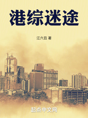 Bìa truyện Cảng Tống Mê Đồ (港综迷途)
