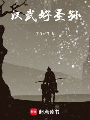 Bìa truyện Hán Vũ Hảo Thánh Tôn (汉武好圣孙)