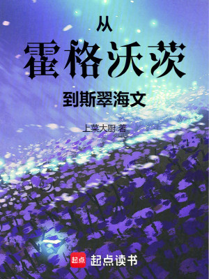 Bìa truyện Tòng Hoắc Cách Ốc Tì Đáo Tư Thúy Hải Văn (从霍格沃茨到斯翠海文)