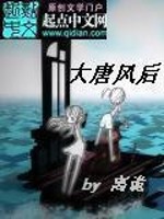 Bìa truyện Đại Đường Phong Hậu (大唐风后)