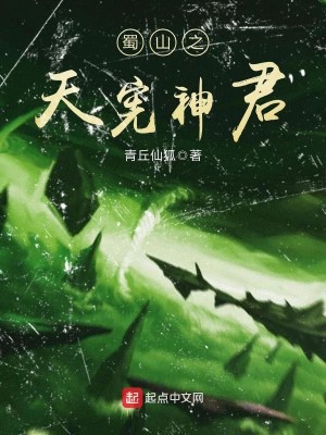 Bìa truyện Thục Sơn Chi Thiên Hiến Thần Quân (蜀山之天宪神君)