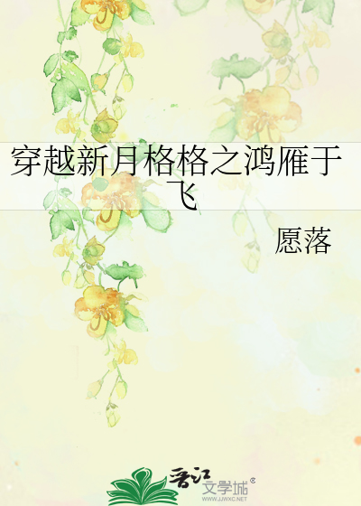 Bìa truyện Xuyên Việt Tân Nguyệt Cách Cách Chi Hồng Nhạn Vu Phi (穿越新月格格之鸿雁于飞)