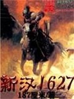 Bìa truyện Tân Hán 1627 (新汉1627)
