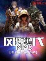 Bìa truyện Phong Hoa Tuyệt Đại Npc (风华绝代NPC)