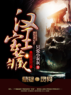 Bìa truyện Hán Vương Bảo Tàng (汉王宝藏)