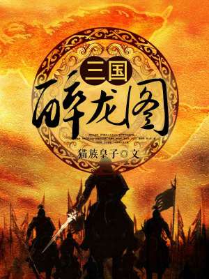 Bìa truyện Tam Quốc Túy Long Đồ (三国醉龙图)