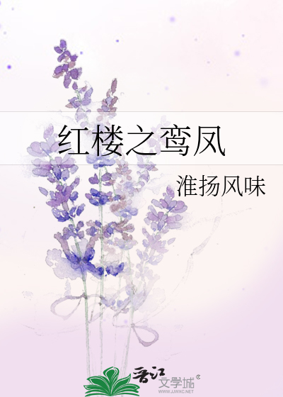 Bìa truyện Hồng Lâu Chi Loan Phượng (红楼之鸾凤)