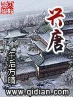 Bìa truyện Hưng Đường (兴唐)