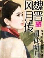 Bìa truyện Ngụy Tấn Phong Nguyệt Truyện (魏晋风月传)