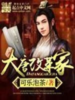 Bìa truyện Đại Đường Cải Cách Gia (大唐改革家)