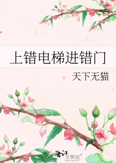 Bìa truyện Thượng Thác Điện Thê Tiến Thác Môn (上错电梯进错门)