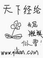 Bìa truyện Thiên Hạ Kinh Luân (天下经纶)