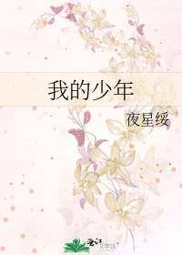 Bìa truyện Ngã Đích Thiếu Niên (我的少年)