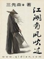 Bìa truyện Giang Hồ Hữu Phong Xuy Quá (江湖有风吹过)