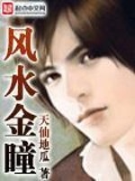 Bìa truyện Phong Thủy Kim Đồng (风水金瞳)