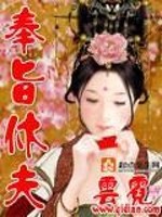 Bìa truyện Phụng Chỉ Hưu Phu (奉旨休夫)
