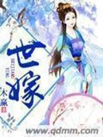 Bìa truyện Thế Giá (世嫁)