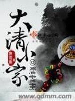 Bìa truyện Đại Thanh Tiểu Gia (大清小家)