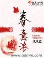 Bìa truyện Xuân Ý Nùng (春意浓)