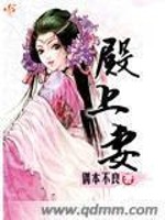 Bìa truyện Điện Thượng Thê (殿上妻)