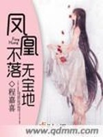 Bìa truyện Phượng Hoàng Bất Lạc Vô Bảo Địa (凤凰不落无宝地)