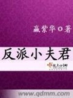 Bìa truyện Phản Phái Tiểu Phu Quân (反派小夫君)