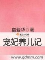 Bìa truyện Sủng Phi Dưỡng Nhân Kí (宠妃养儿记)
