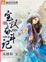 Bìa truyện Bảo Thoa Phấn Đấu Kí (宝钗奋斗记)