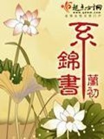 Bìa truyện Hệ Cẩm Thư (系锦书)