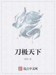 Bìa truyện Đao Cực Thiên Hạ (刀极天下)